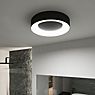 Paulmann Casca Ceiling Light LED black - 40 cm