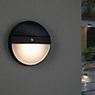 Paulmann Elois Wall Light LED with Solar anthracite application picture