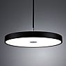 Paulmann Hildor Pendant Light LED black