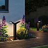 Paulmann Juntea Bollard Light LED 2 lamps anthracite application picture