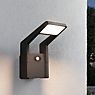 Paulmann Juntea Wall Light LED anthracite