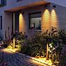 Paulmann Kimu Bollard Light LED 2 lamps anthracite application picture