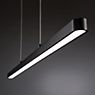 Paulmann Lento Pendant Light LED black - tunable white