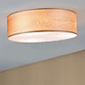Paulmann Liska Plafondlamp lichter hout