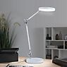 Paulmann Numis Table Lamp LED white - without charging function application picture