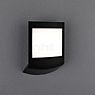 Paulmann Padea Wall Light LED anthracite