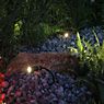 Paulmann Plug & Shine Plantini Jordspids Spotlights LED udvidelse antrazit, sæt med 3 ansøgning billede