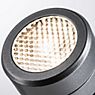Paulmann Plug & Shine Radon Ground Spike Spotlights LED grey
