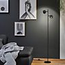 Paulmann Puric Pane Floor Lamp LED black application picture