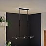 Paulmann Puric Pane Pendant Light LED linear black application picture