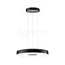 Paulmann Puric Pane Pendant Light LED round black