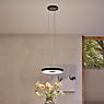 Paulmann Puric Pane Pendant Light LED round black application picture