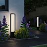 Paulmann Reana Bollard Light LED anthracite application picture