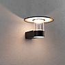 Paulmann Sienna Applique LED anthracite