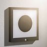 Paulmann Taija Lampada da parete LED con solare 30 x 30 cm