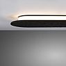 Paulmann Tulga Applique LED anthracite