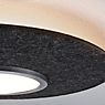 Paulmann Tulga Ceiling Light LED anthracite