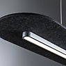 Paulmann Tulga Suspension LED anthracite