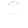 Paulmann Velora Deckenleuchte LED 29,5 x 29,5 cm, Tunable white , Auslaufartikel