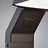 Paulmann Zenera Bollard Light LED anthracite