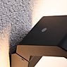 Paulmann Zerena Wall Light LED anthracite