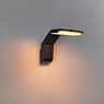 Paulmann Zerena Wall Light LED anthracite