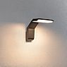 Paulmann Zerena Wall Light LED anthracite