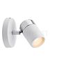 Paulmann Zyli Spot 1 lamp white/chrome