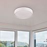 Peill+Putzler Varius, lámpara de techo gris pardo - ø42 cm - ejemplo de uso previsto