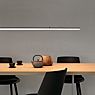 Ribag Licht Aroa Suspension LED 2.700 K - 150 cm - tamisable - produit en situation