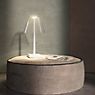 Rotaliana Dina+ LED bronze, incl. 2 lampshades application picture