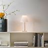Rotaliana Dina+ LED champagne, incl. 2 lampshades application picture