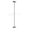 Rotaliana Prince F1 Floor Lamp LED graphite - 2.700 k - with dimmer