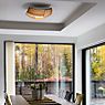 Secto Design Kuulto Lampada da parete o soffitto LED legno di betulla naturale - 40 cm , Vendita di giacenze, Merce nuova, Imballaggio originale - immagine di applicazione