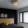 Secto Design Kuulto Wall- and Ceiling Light LED walnut veneered - 52 cm application picture
