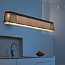 Secto Design Owalo 7000 Hanglamp LED walnuss, fineer