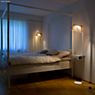 Secto Design Owalo 7010 Staande lamp LED walnuss, fineer productafbeelding