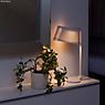 Secto Design Owalo 7020 Lampe de table LED noyer, plaqué - produit en situation