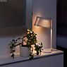 Secto Design Owalo 7020 Lampe de table LED walnuss, plaqué - produit en situation