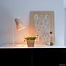 Secto Design Petite 4620 Lampe de table noyer, plaqué - produit en situation