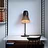 Secto Design Petite 4620 Lampe de table walnuss, plaqué - produit en situation