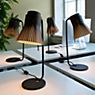 Secto Design Petite 4620 Table Lamp walnut, veneered application picture
