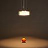 Serien Lighting Curling Pendant Light LED glass - M - external diffuser clear/without inner diffuser - dim to warm