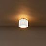 Serien Lighting Reef Lampada da soffitto/plafoniera LED alluminio spazzolato