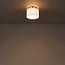 Serien Lighting Reef Lampada da soffitto/plafoniera alluminio spazzolato