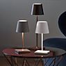 Sigor Nuindie Lampe de table LED argenté , fin de série - produit en situation