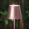 Sigor Nuindie Lampe de table LED rose