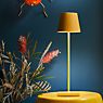 Sigor Nuindie Lampe de table LED rouge cerise - produit en situation