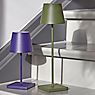 Sigor Nuindie Lampe de table LED vert sapin , fin de série - produit en situation