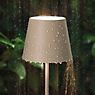 Sigor Nuindie Table Lamp LED anthracite , discontinued product